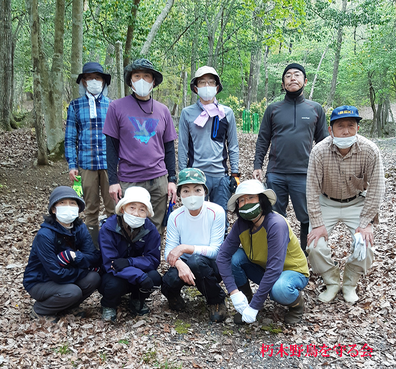 ヤイロチョウを呼び戻そうプロジェクト 実施 大成功 朽木 野鳥を守る会