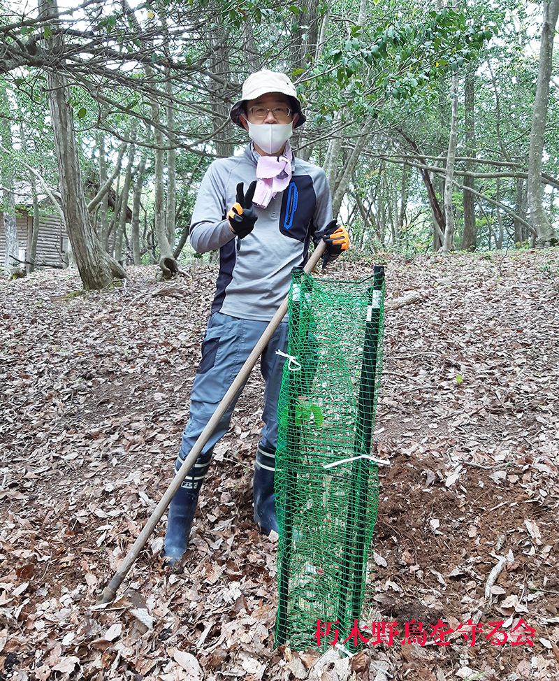 ヤイロチョウを呼び戻そうプロジェクト 実施 大成功 朽木 野鳥を守る会