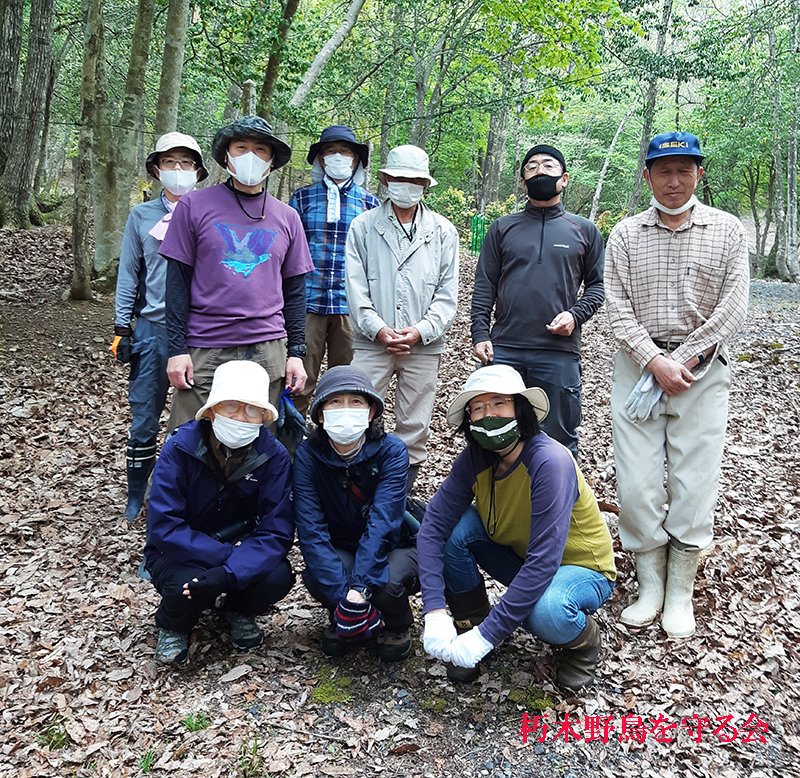 ヤイロチョウを呼び戻そうプロジェクト 実施 大成功 朽木 野鳥を守る会