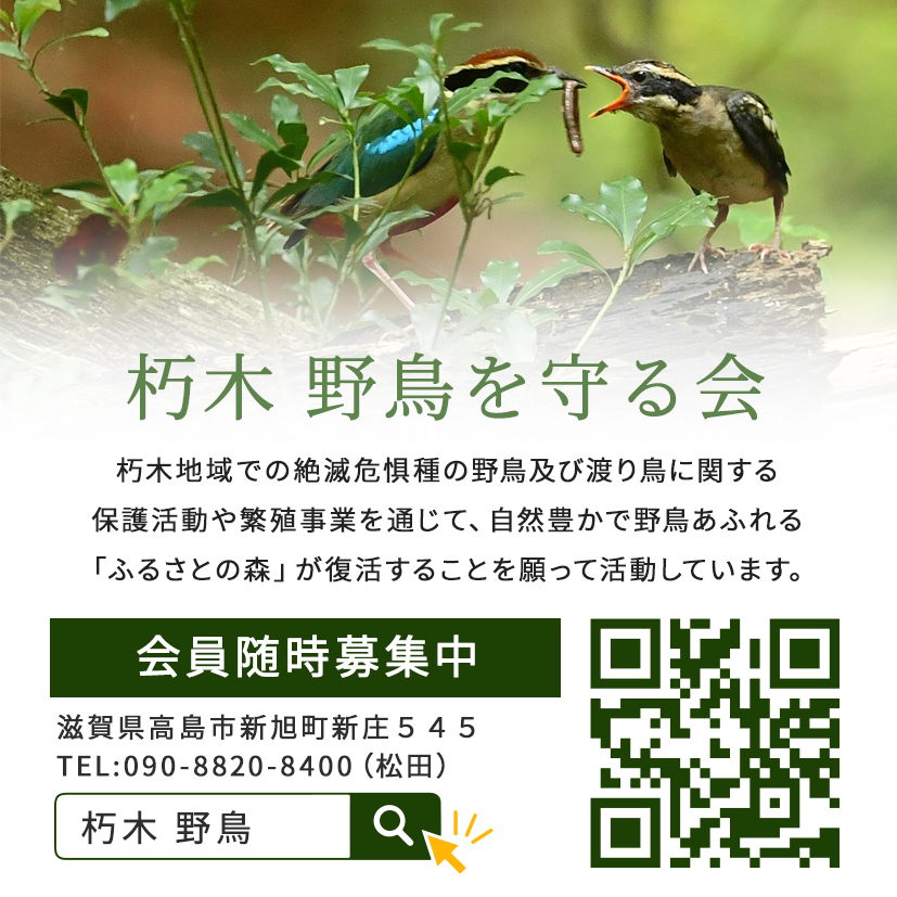 たかしま市民協働交流センターから取材があり 令和4年3月号 情報誌おむすび に掲載決定 他にも当会のポスター展示中 朽木 野鳥を守る会