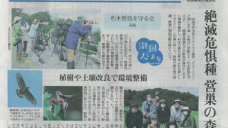 活動日記 朽木 野鳥を守る会