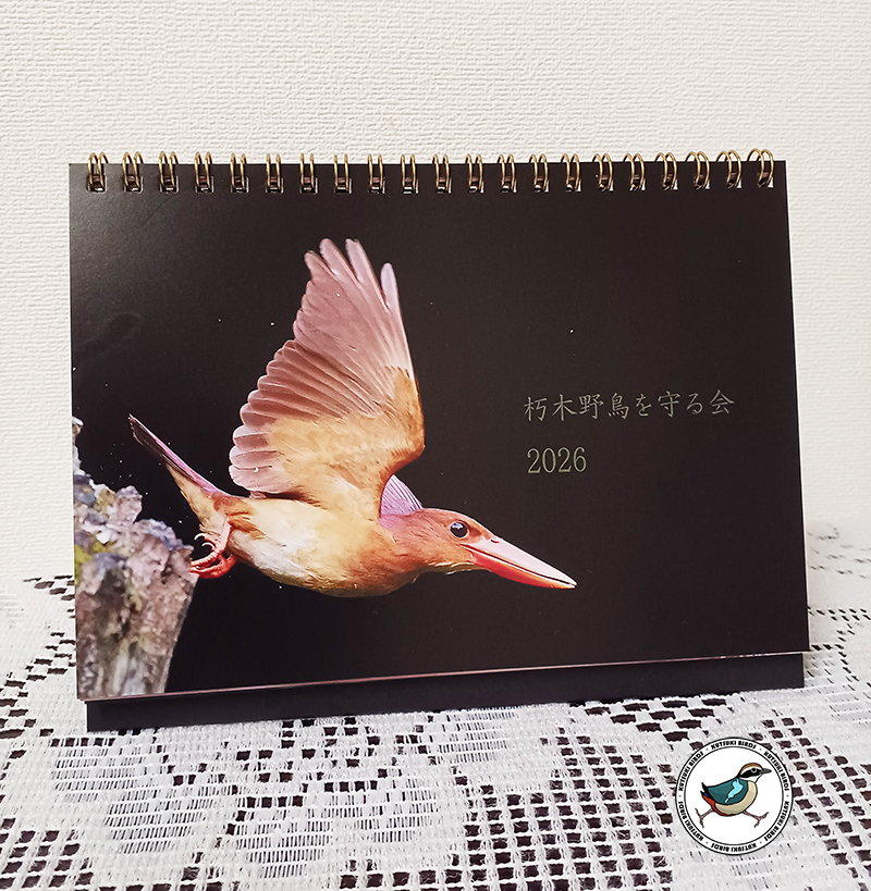 2026年卓上カレンダーアカショウビン