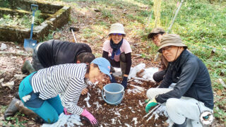 土壌動物調査